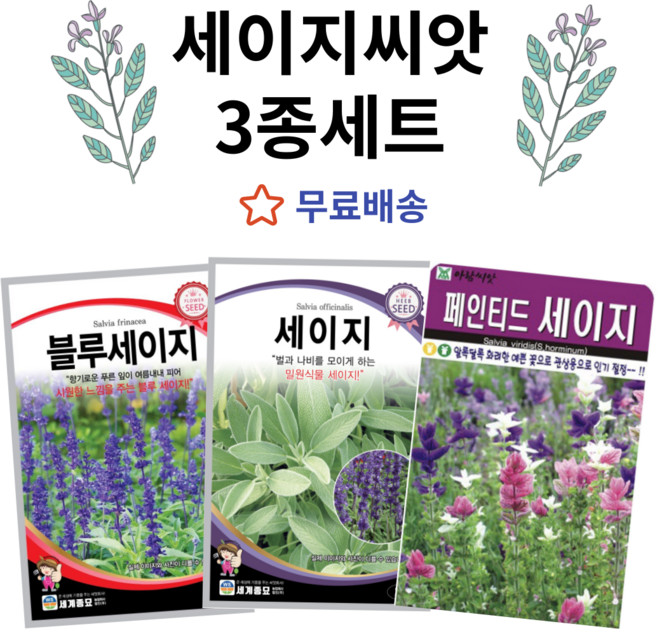 주주씨앗 세이지 씨앗 3종세트 블루 세이지 페인티드 꽃씨 종자 봄꽃씨 여름 가을 파종 텃밭 화단 정원, 1개