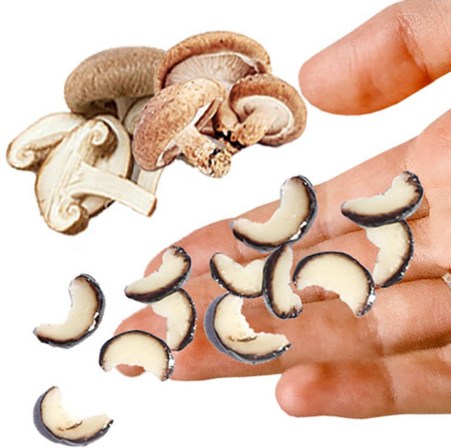 미니어처 만들기 납골당 꾸미기 DIY 수공예 토핑, A18번 표고버섯5개