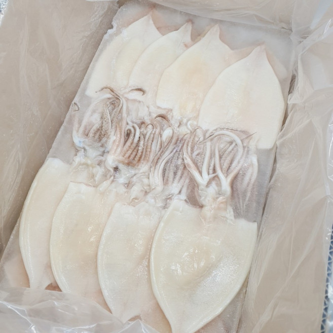업소용 국내산 할복오징어 약4kg 1박스 약16마리 탈피/손질/깨끗한 냉동오징어, 1