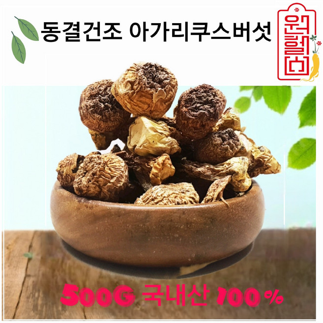 원헬스 국내산 건조 아가리쿠스 버섯 500g 한국정품 100% [충남 부여] 동결건조아가리쿠스버섯 4시이전 결제시 당일발송, 1개