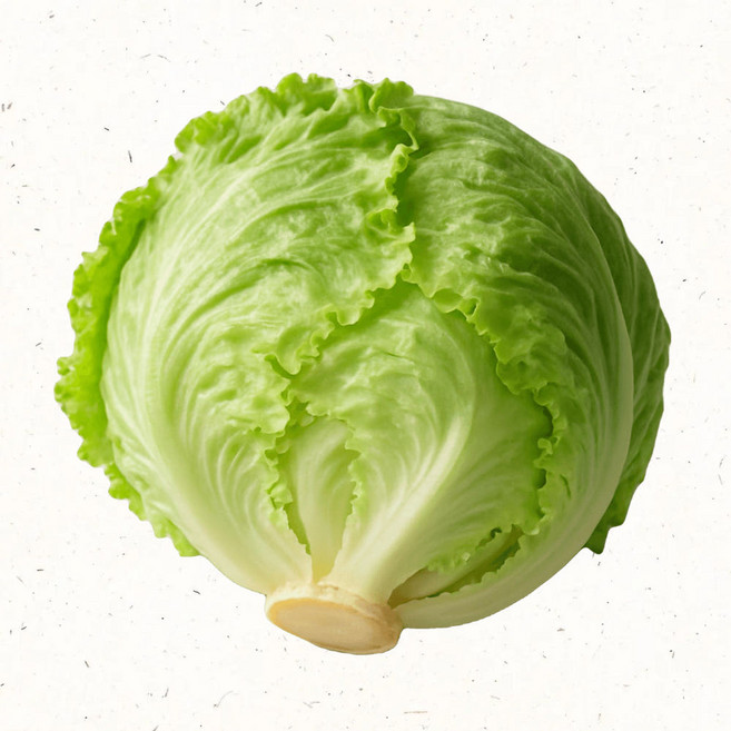 양상추 친환경 국내산 제철 아삭한 양상추 신선채소 샐러드용, 1kg, 1개, 양상추(200g~300g)