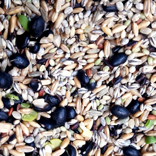 50년전통대현상회 블랙미 11곡 리필 프리미엄잡곡, 1개, 1kg