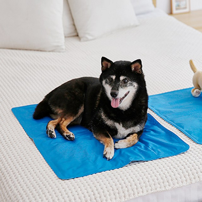 펫토리아 여름 반려동물 강아지 고양이 방수원단 아이스베어 쿨매트 다크블루