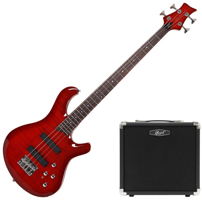 데임 폴앤폴250 입문용 베이스기타 + 콜트 15W앰프 패키지, STBC (시스루 블랙체리 유광)