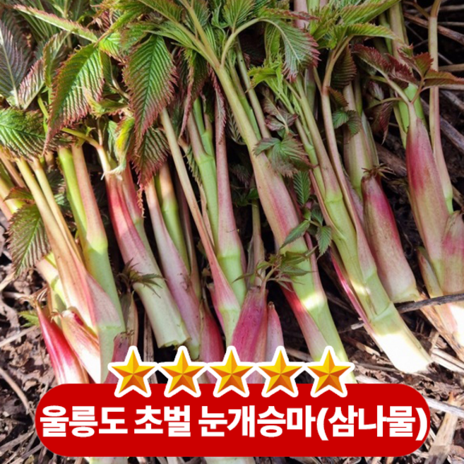 향긋한 산나물 특유의 깊은 향과 함께 아삭하면서도 부드러운 식감이 특징인 눈개승마(삼나물), 1박스, 2kg