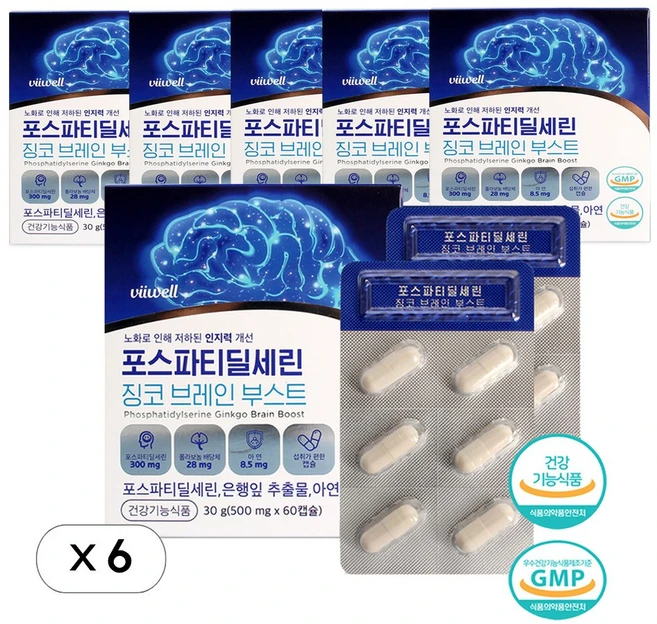 순도 높은 포스파티딜세린 징코 캡슐 6개월분 아연함유 인지 기억 혈행 3중 멀티케어 하루 300mg, 30정, 6개 - 쿠팡