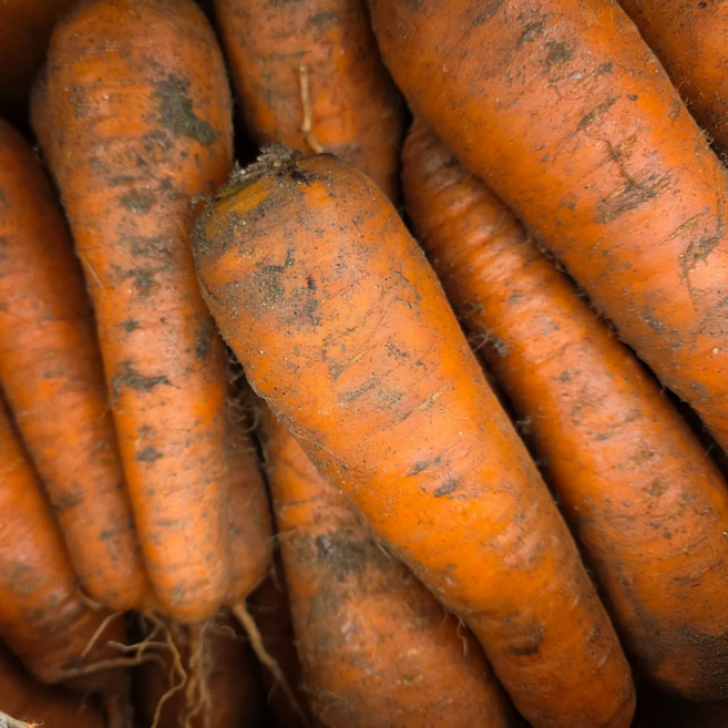 [타임특가] 국내산 경남 햇 당근 흙당근, 1박스, 10kg(특)