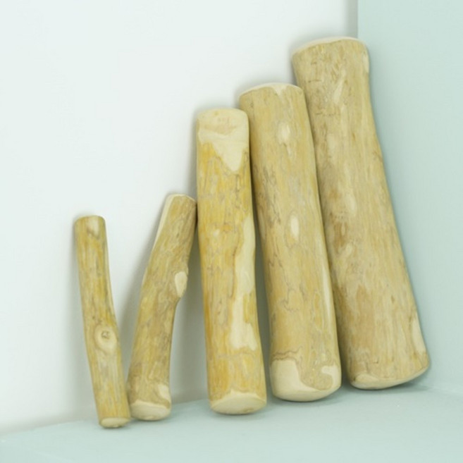 100% 천연 우드스틱 강아지 커피나무 커피츄 이갈이 장난감, S, 1
