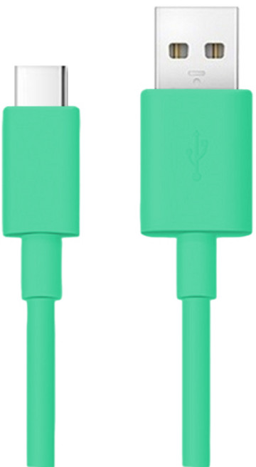 STAR水管傳輸線 柔軟耐用 高速充電, 薄荷綠, 1個, 25cm