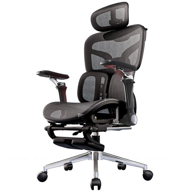 人體工學椅 Xpanse T9 特網設計帶擱腳 升降調節雙腰靠久坐舒適, T900 Pro-6D-曜黑-四簧雙翼