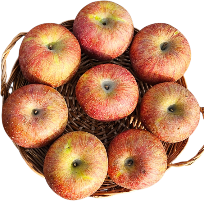 [성철이네농장] 고당도 부사사과 가정용 꿀사과 당도선별, 1박스, 5kg 소과(26과 내외)