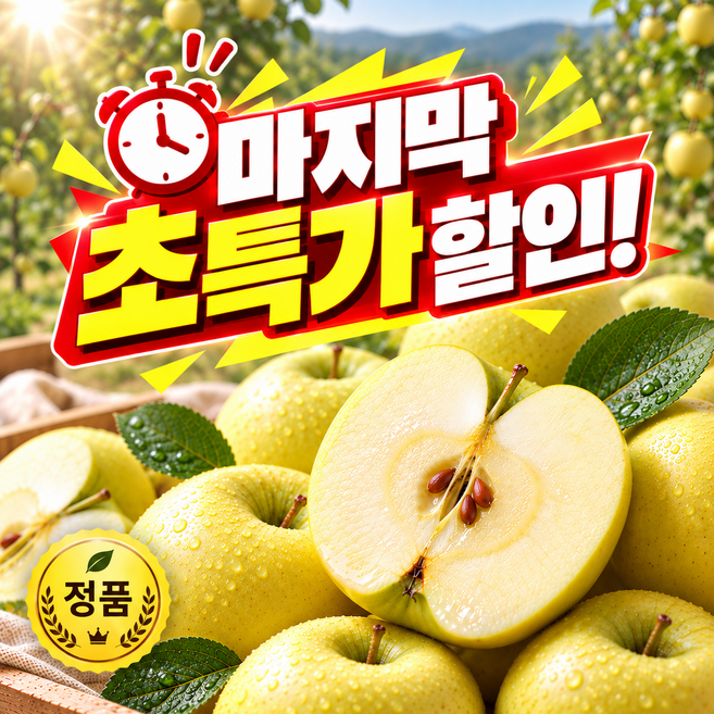 [초특가] 정품 고당도 시나노 골드 사과 (대과), 1박스, 정품 5kg