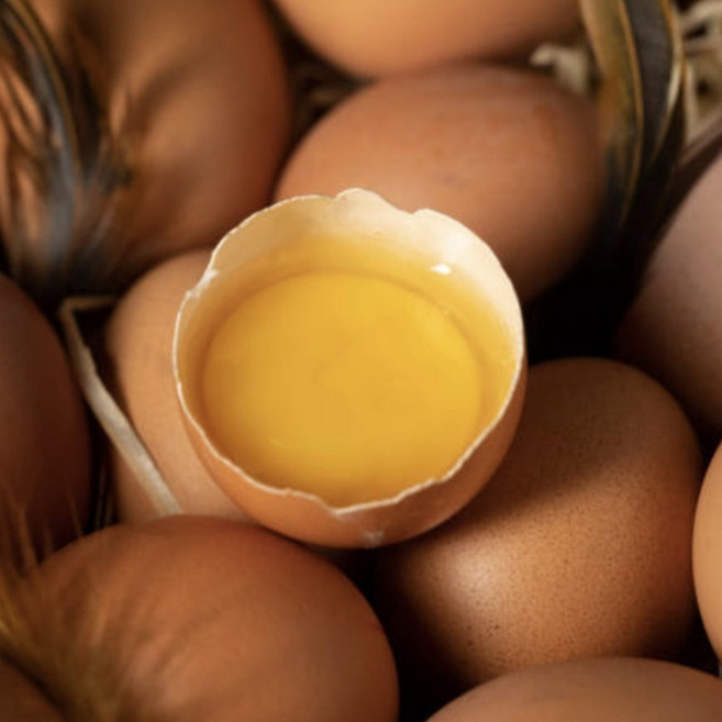 HACCP 난각번호1번 유정란 계란 생란 무항생제 동물복지 자연방사, 1개, 20구