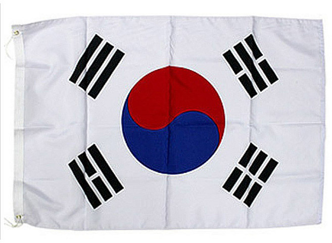 게양용 태극기 100x150cm, 2개