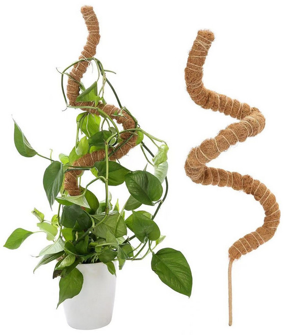 구부러지는 슬림 수태봉 몬스테라 넝쿨 식물 화분 리스 지지대 120cm, 1개