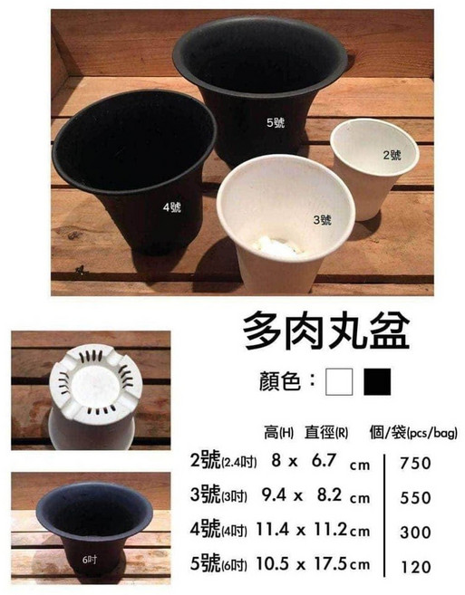 欣榮園藝 透氣多肉植物盆栽圓盆 園藝栽培盆, 加厚丸盆,【白色】2號(2吋), 1個