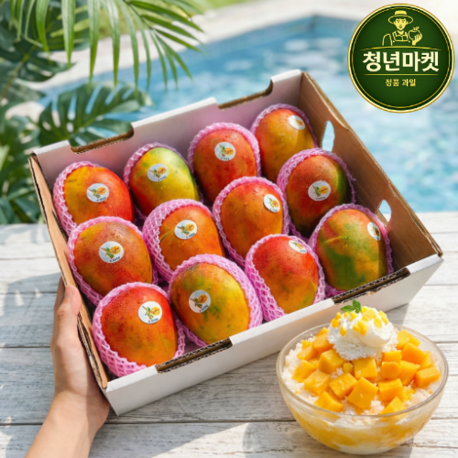 [선착순판매] 항공직송 고당도 프리미엄 애플망고, 1박스, 1kg (2개입)