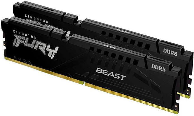 205523 Kingston FURY Beast 32GB(2x16GB) 6000MT/s DDR5 CL30 데스크탑 메모리 | AMD EXPO 2개 키트 KF560C30BBEK2, 16GB (2x8GB), 5600MT/s
