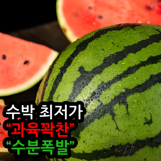 [최저가할인]과육꽉찬 수분폭발 고당도 가정용 수박, 1개, 4kg