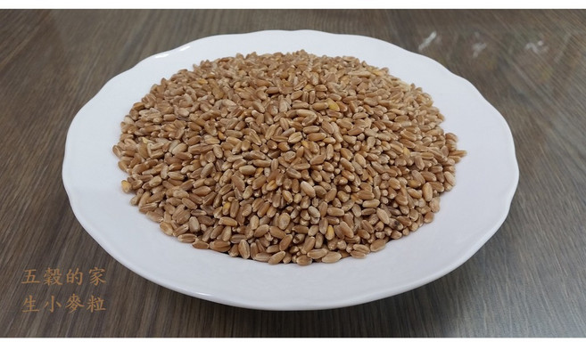 紅小麥粒 生小麥 (未熟化) 生機, 1個