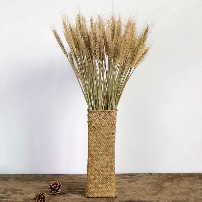 無名精選 小麥乾燥花材，五穀豐收花束 DIY 拍照道具 過年裝飾, 1支-原色