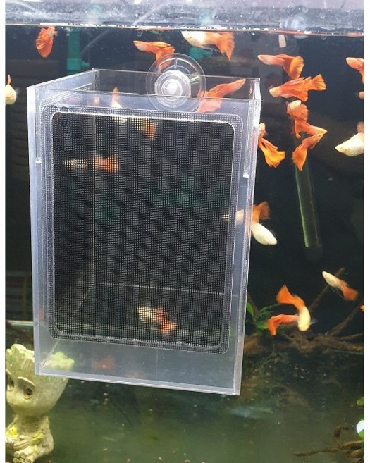 소형 중형 대형 아크릴 3면망사 물순환 다기능 부화통 격리통 치어통 산란통 열대어 안시 구피 코리 베타 걸이식, 큐방형, 1개