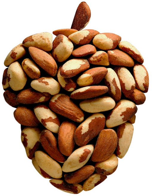 맛을그리다 햇 브라질너트 1kg A급 최근통관, 1개