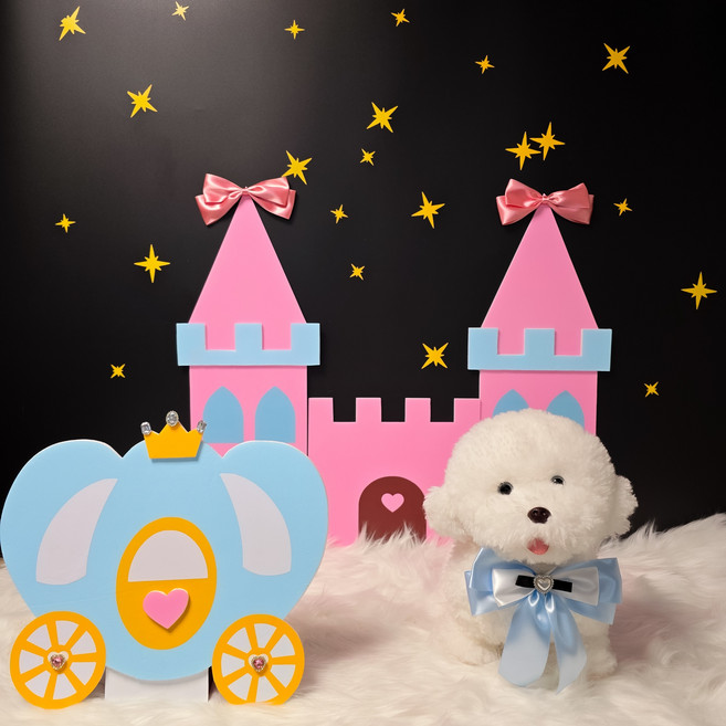 강아지 포토존 멍공주 애견 촬영 배경 소품 카페 유치원 공주 동화, 흰색 구름, 1개