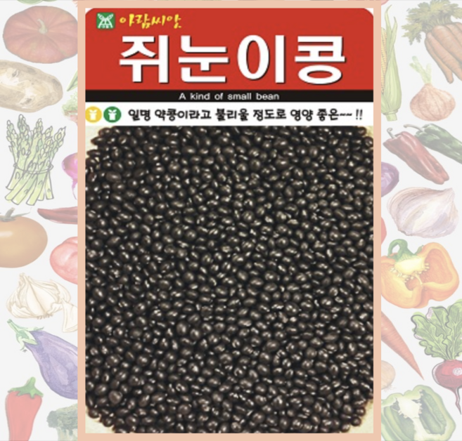 쥐눈이콩 씨앗 30g 검은 콩씨 서목태 약콩 종자 아람종묘, 1개