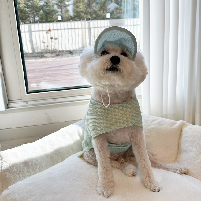 스카이몰 폼포미 메쉬 썬캡, 1개, 민트