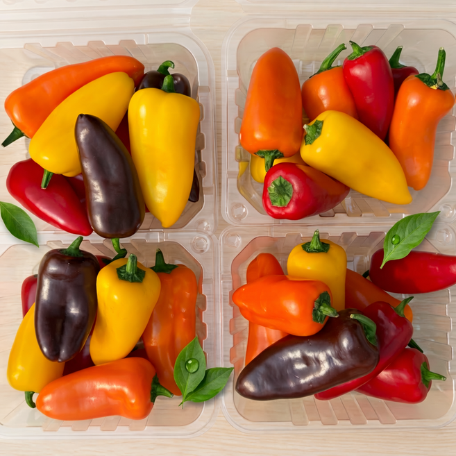 농진사 미니 파프리카 국내산 특, 1개, 1kg