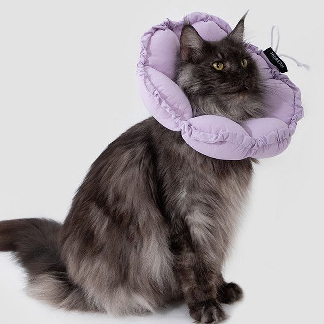 모츄츄 강아지 고양이 초경량 펫 칼라 66g 2way 플라워 베개 칼라 접이식+접이식 수술방지 컨 목욕후 보호대 알러지 방지 편안한 착용감, 1개, 토란 퍼플