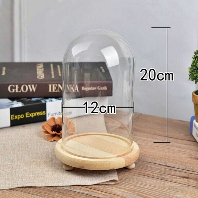 유리돔 원목 클로 12x20cm DIY 장식장 무드등 만들기 케이스 [옵션수량확인], 1개