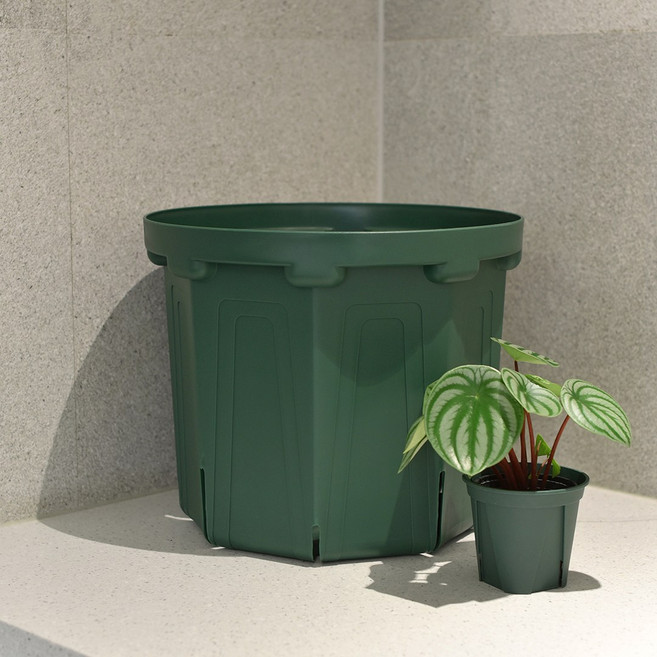 마이플랜트 카네야 팔각 대형 컨테이너 슬릿화분, 1개, 모스그린