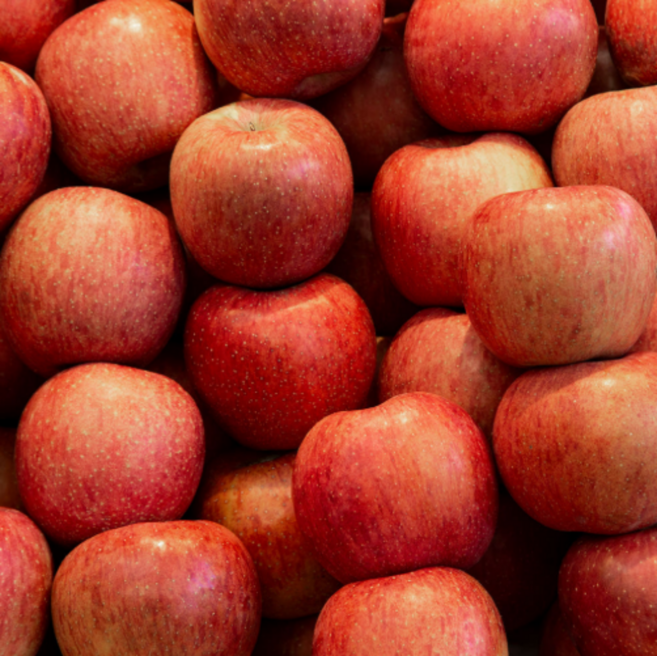 [정담온 농원] 청송 고당도 얼음골 부사 사과, 1개, 중과5kg