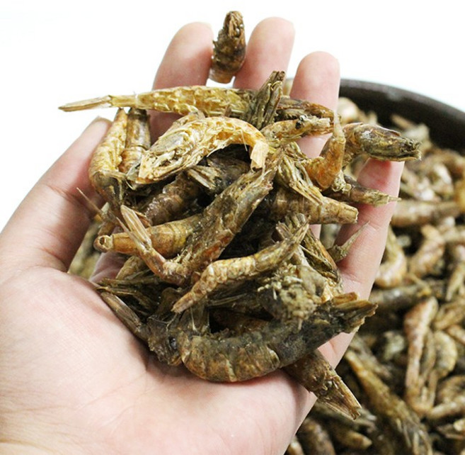 [햇님어장] 동해안 보리새우 500g, 1개