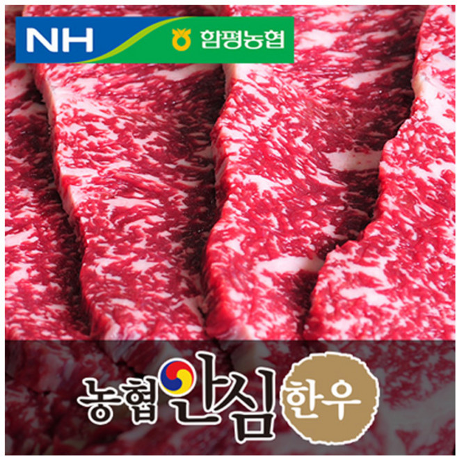 농협안심한우 채끝살, 500g, 1개, 500g 구이용(2등급)