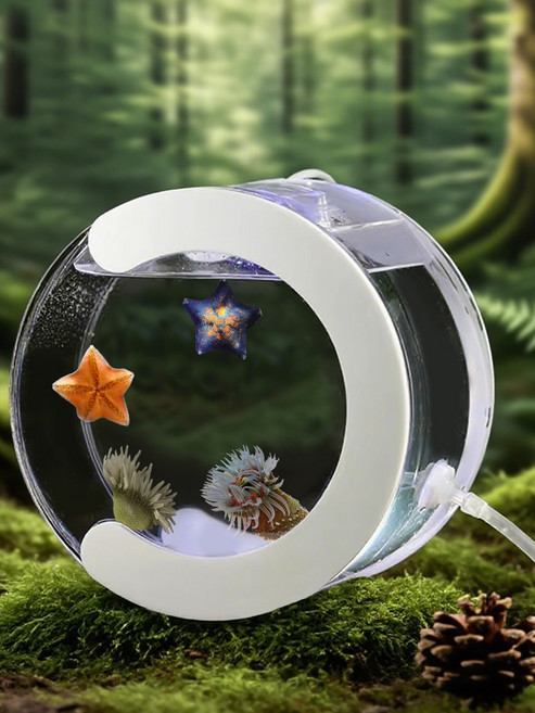 애완용 해파리 키우기세트 아크릴 스마트 수조 가정용 사육키트, 화이트 빈 수조