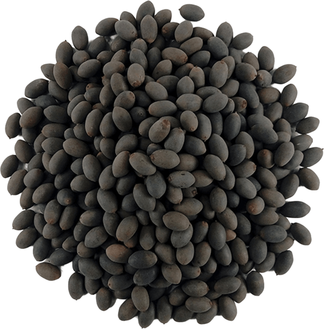 비브랜드 국산 연자육, 1kg, 1kg, 1개