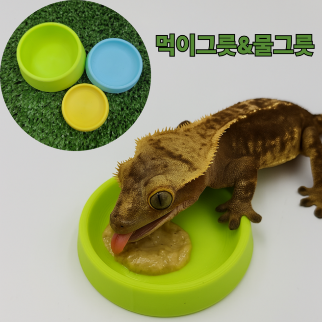 보물찾기 크레 먹이그릇 밥그릇 크레스티드게코 파충류 용품 사육장 꾸미기 도마뱀 물그릇 먹이용품 친환경 소재 소 중 대 사이즈, 노랑 대