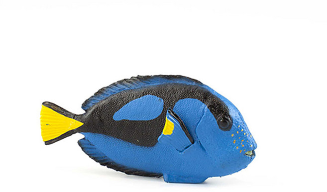 파포 쥐돔 56024 동물 학습 피규어, 1개