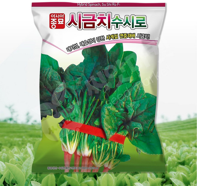 아시아종묘 수시로 시금치 씨앗 400g 연중재배 시금치씨 종자, 1개