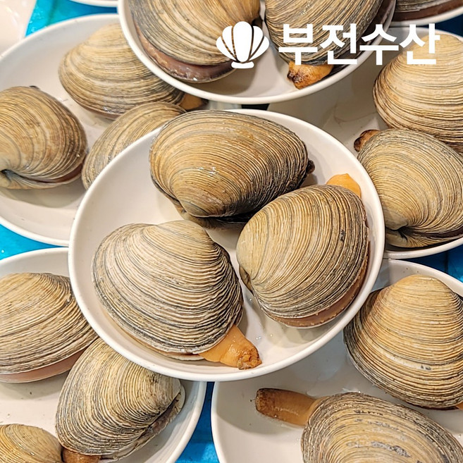부전수산 냉동 손질 신선한 개조개살 (대합살) 1박스 업소용 8kg (800g x 10팩) 개조개 대합조개 백합 육수재료 해장국재료 개조개미역국 조개탕 조개구이