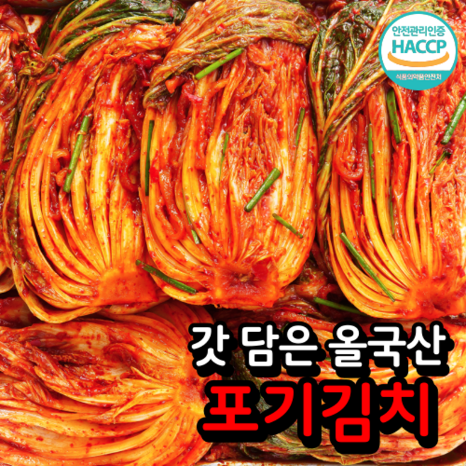 [갓 담은] 올 국산 100% 포기 김장 배추김치 생김치, 1개, 3kg