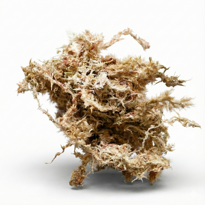 NEWRUN 친환경 수태 1L, 1개