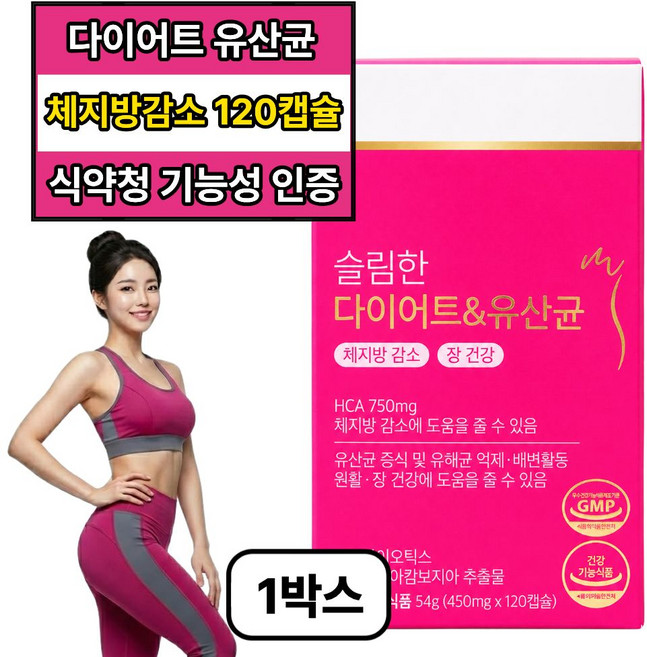 체지방 감소 다이어트 유산균 중년 복부 내장지방 뱃살 /12개구매 시서스필 다이어트 정품 증정, 1박스, 120정
