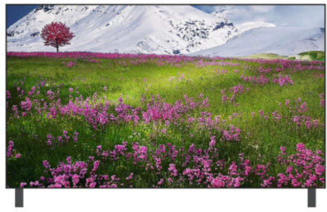 LG전자 QNED LED 4K TV 65QNED65ABA, 163cm(65인치), 벽걸이형, 방문설치