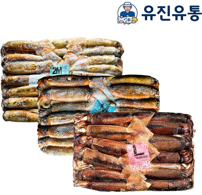 선동 오징어 손질오징어 산오징어 포크 초코오징어 숙회 갑오징어 한치 냉동오징어 20kg 냉동수산물 도소매 식자재 납품, 1박스, M 20kg