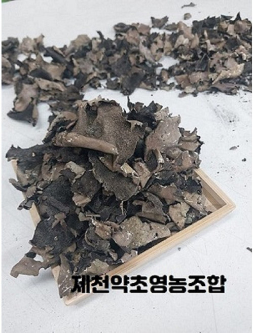 자연산석이버섯 ( 100g ) - 제천약초영농조합, 1개