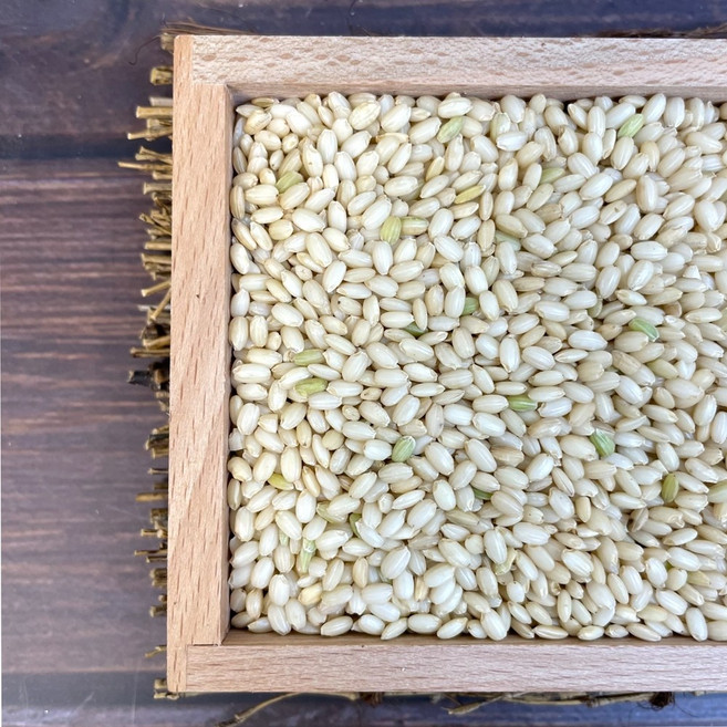 농랑부랑 국산 찰현미 현미찹쌀 4kg, 1개